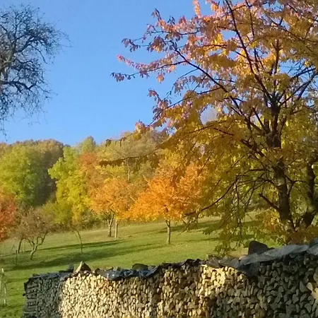 Un Cocon Douillet Entre Vignes Et Montagne *